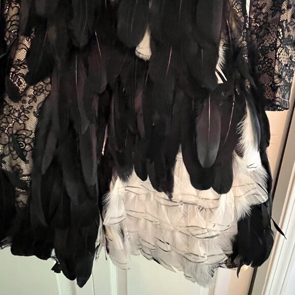 Jovani LAce feather Dress - Picture 3 of 6